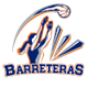巴雷特拉女篮logo