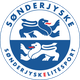 桑德捷斯基logo