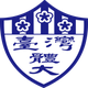 链红台体logo