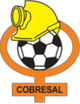 科布雷索女足logo