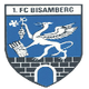 比桑伯格logo